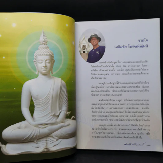 ผมวาดชีวิตผม - เฉลิมชัย โฆษิตพิพัณน์ รูปที่ 9