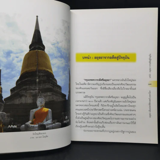 อยุธยา เมืองประวัติศาสตร์ มรดกโลก รูปที่ 13