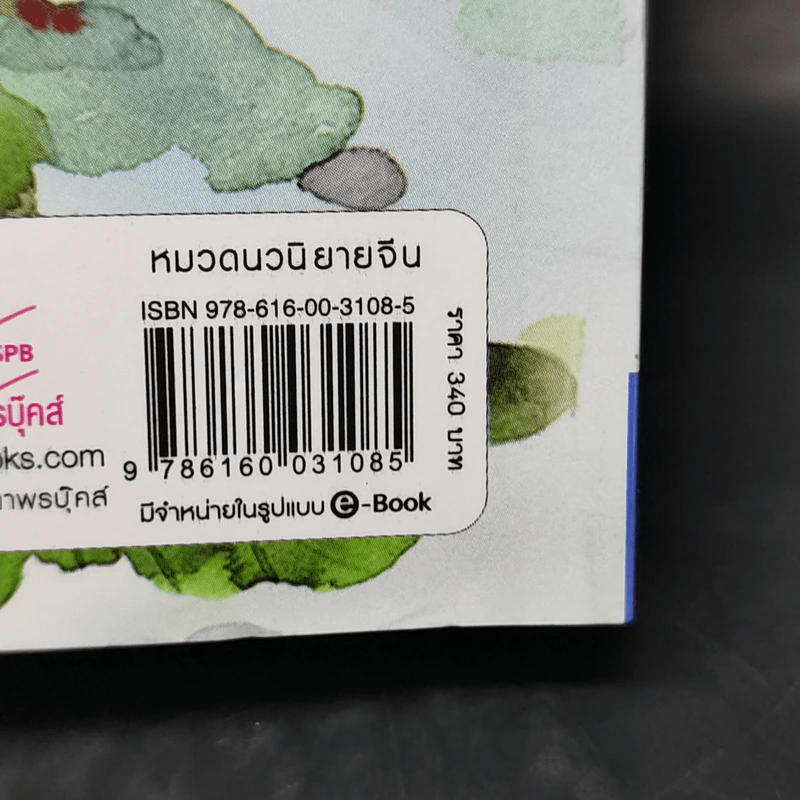 นางหงส์ - ฉางเยว่ รูปที่ 12