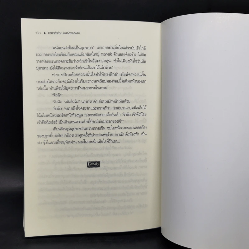 ชายาตัวร้ายชินอ๋องลวงรัก - ฟางซิน รูปที่ 10
