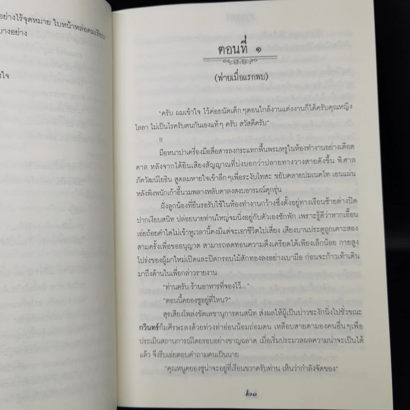พ่าย - PANGL รูปที่ 10