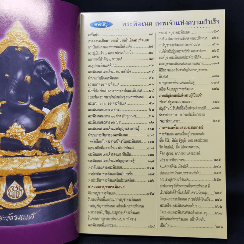 พระพิฆเนศ เทพเจ้าแห่งความสำเร็จ - ทศพล จังพานิชย์กุล รูปที่ 9