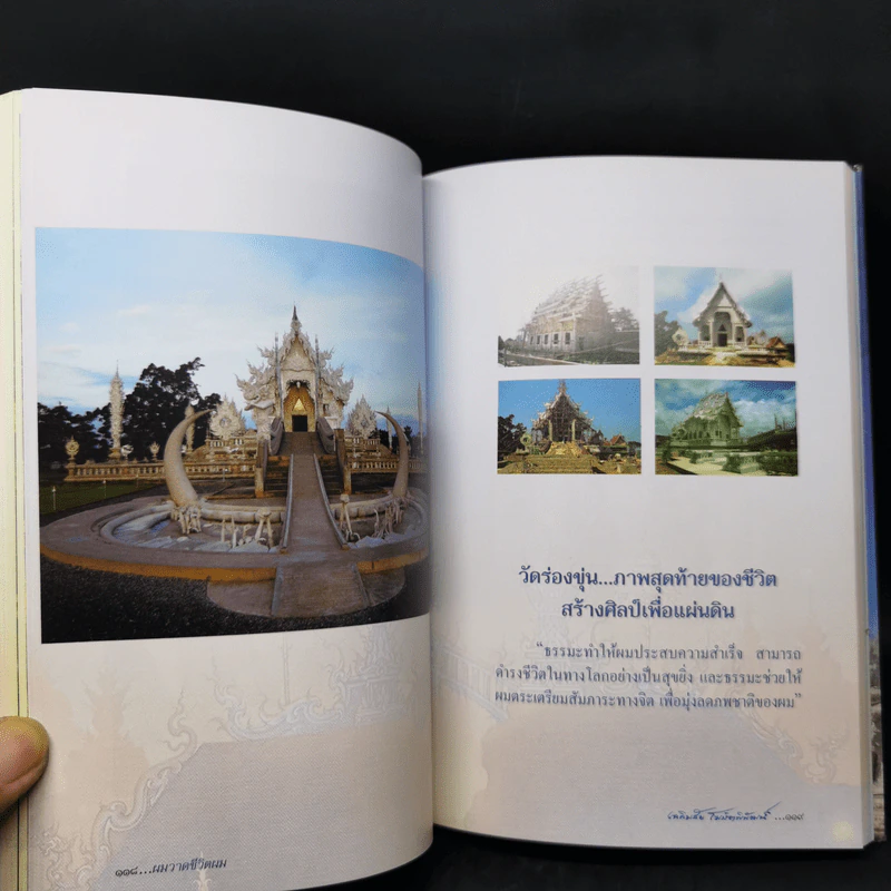 ผมวาดชีวิตผม - เฉลิมชัย โฆษิตพิพัณน์ รูปที่ 16