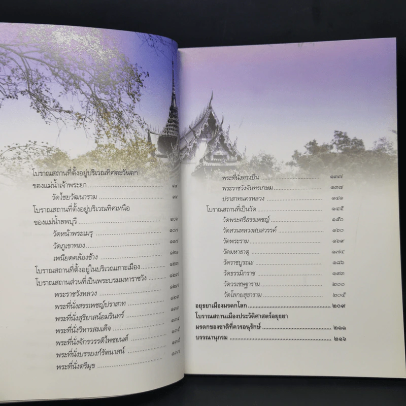 อยุธยา เมืองประวัติศาสตร์ มรดกโลก รูปที่ 11
