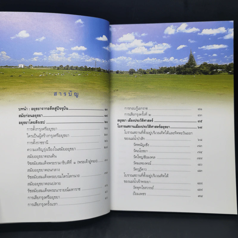 อยุธยา เมืองประวัติศาสตร์ มรดกโลก รูปที่ 10