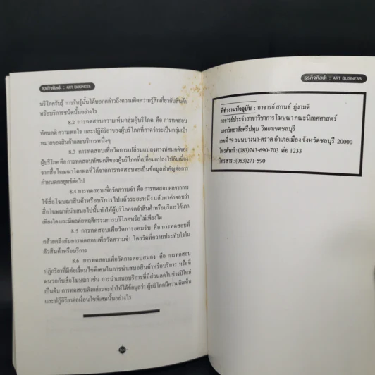 ธุรกิจศิลปะ - สกนธ์ ภู่งามดี รูปที่ 12
