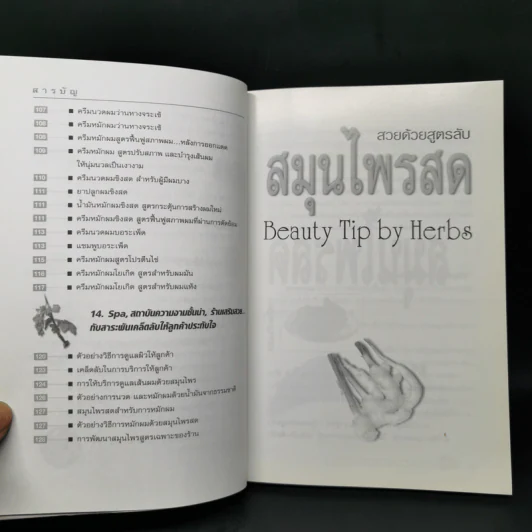 สวยด้วยสูตรลับ สมุนไพรสด Beauty Tip by Herbs - เนตรดาว แสงโปร่ง รูปที่ 11