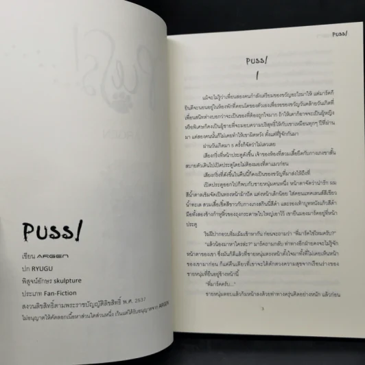 Puss! - Argen รูปที่ 9