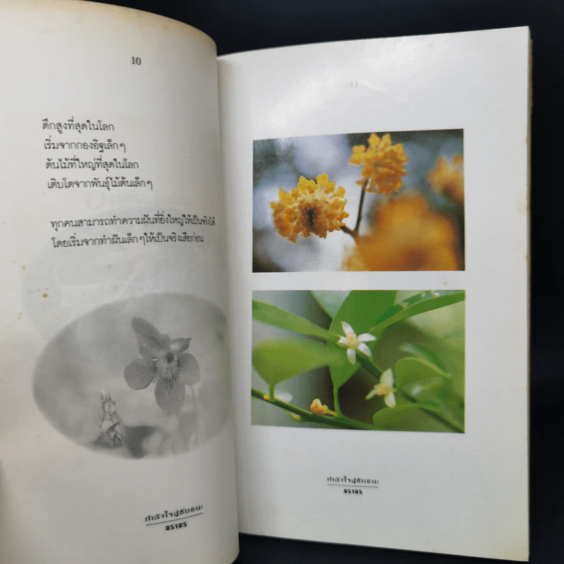 กำลังใจสู่ชัยชนะ - ธราธร รูปที่ 10