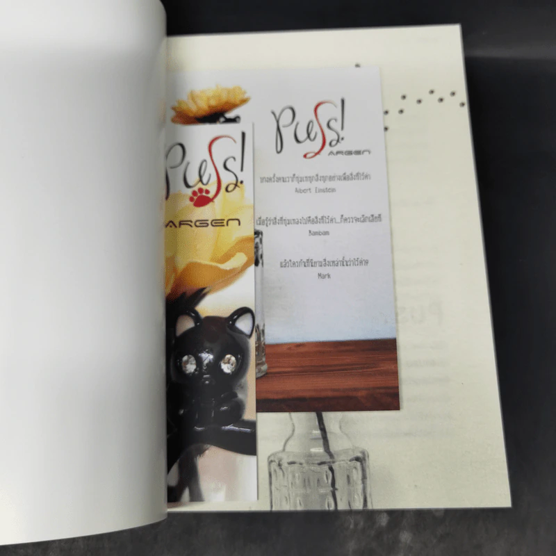 Puss! - Argen รูปที่ 8