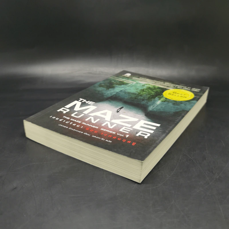 The Maze Runner Vol.1 เกมล่าปริศนา ตอน วงกตมฤตยู รูปที่ 7