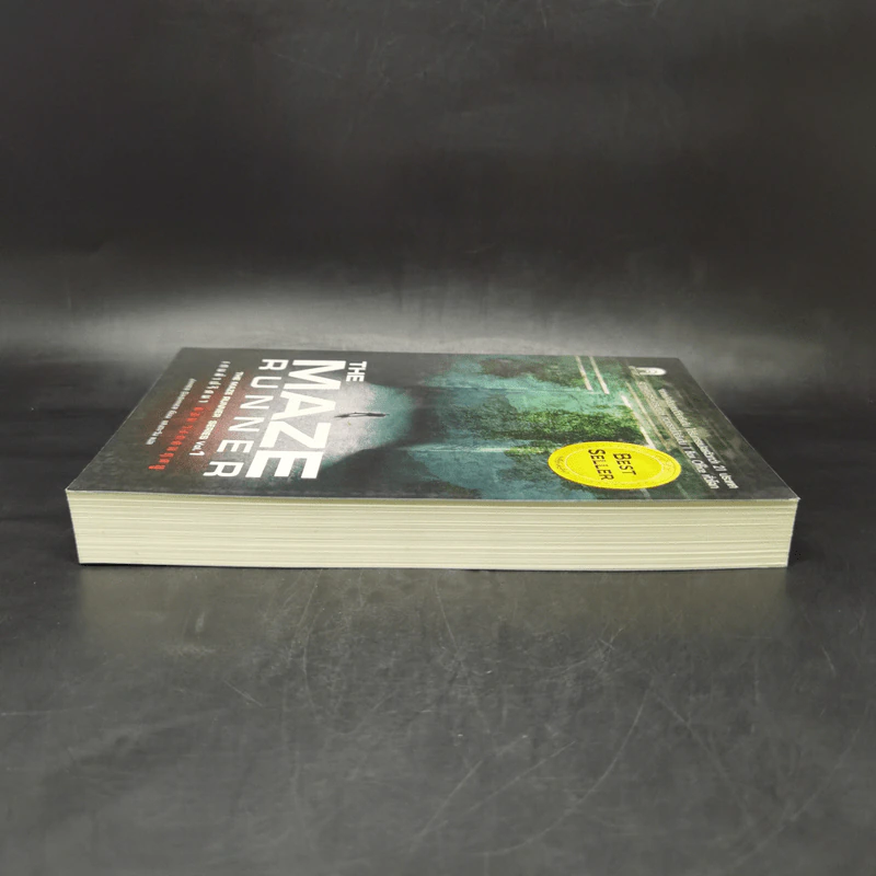 The Maze Runner Vol.1 เกมล่าปริศนา ตอน วงกตมฤตยู รูปที่ 5