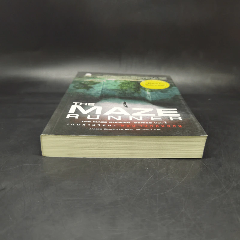 The Maze Runner Vol.1 เกมล่าปริศนา ตอน วงกตมฤตยู รูปที่ 4