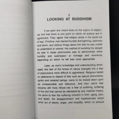 Handbook for Mankind - Handbook for Mankind รูปที่ 11