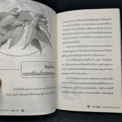 ราชาสมุนไพร พญาวานร ฮว่านง็อก พืชมหัศจรรย์รักษามะเร็ง รูปที่ 10