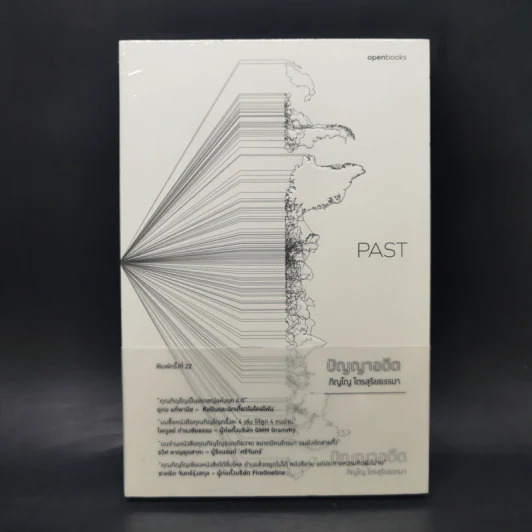 Past : ปัญญาอดีต - ภิญโญ ไตรสุริยธรรมา รูปที่ 1