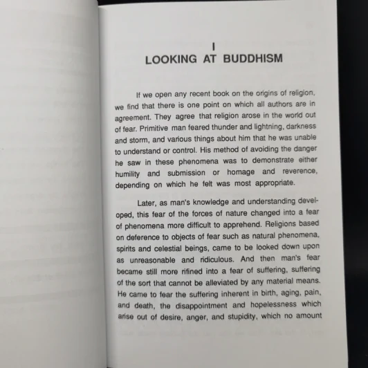 Handbook for Mankind - Handbook for Mankind รูปที่ 11