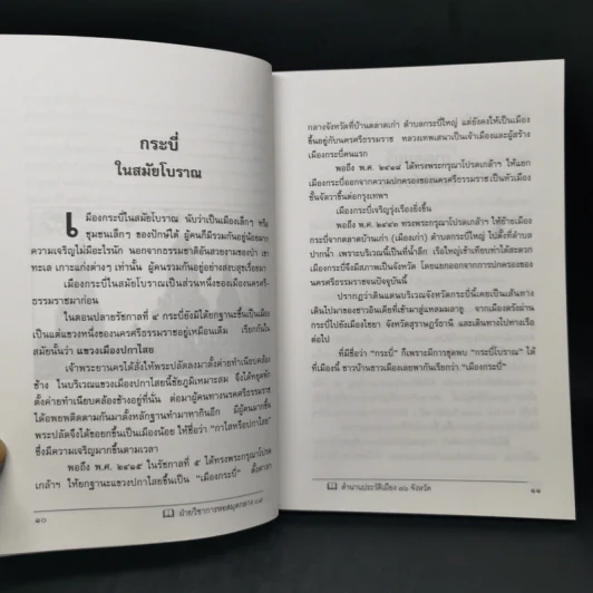 ประวัติเมืองสยามในอดีต - พิชญพิทักษ์ รูปที่ 11