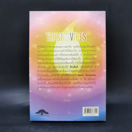 เชื่อซิกเซ้นส์ของคุณ : Trust Your Vibes - Sonia Choquette (โซเนีย โชเคว็ต) รูปที่ 2