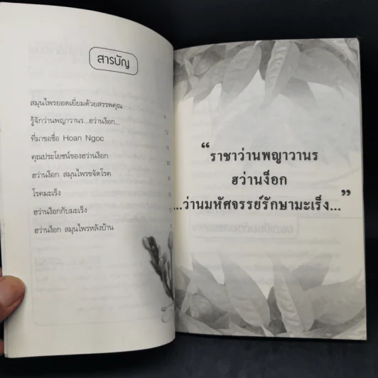 ราชาสมุนไพร พญาวานร ฮว่านง็อก พืชมหัศจรรย์รักษามะเร็ง รูปที่ 9