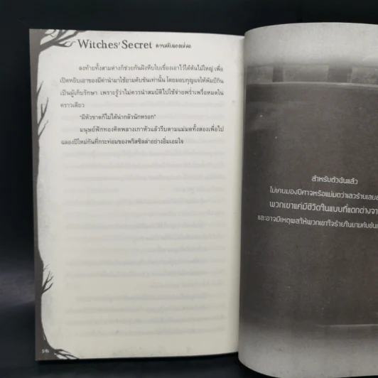 Witches' Secret ความลับของแม่มด - Pink Devil รูปที่ 11