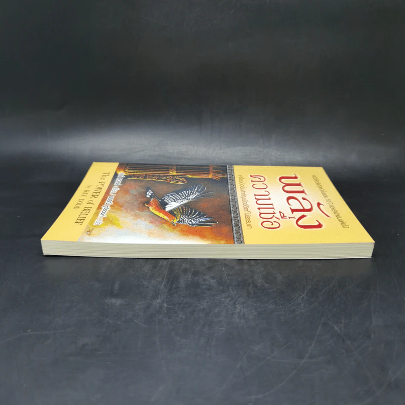 พลังความเชื่อ The Power of Belief - เรย์ ดอดด์ Ray Dodd รูปที่ 5