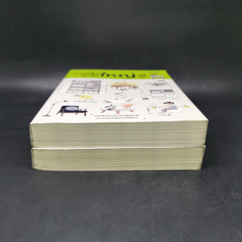 บ้านเล็กจัดให้ใหญ่ เล่ม 1-2 - ลู่เหวย รูปที่ 4