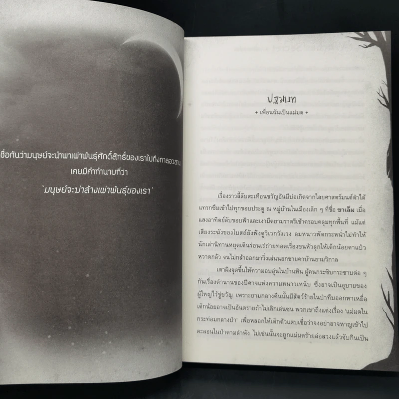 Witches' Secret ความลับของแม่มด - Pink Devil รูปที่ 10