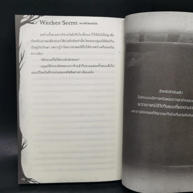 Witches' Secret ความลับของแม่มด - Pink Devil รูปที่ 11