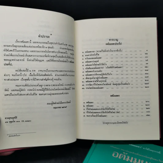 อตัมมยตา เพชรเม็ดสุดท้ายที่หลงเหลืออยู่ในพระไตรปิฎก Boxset 3 เล่ม - พุทธทาส รูปที่ 13
