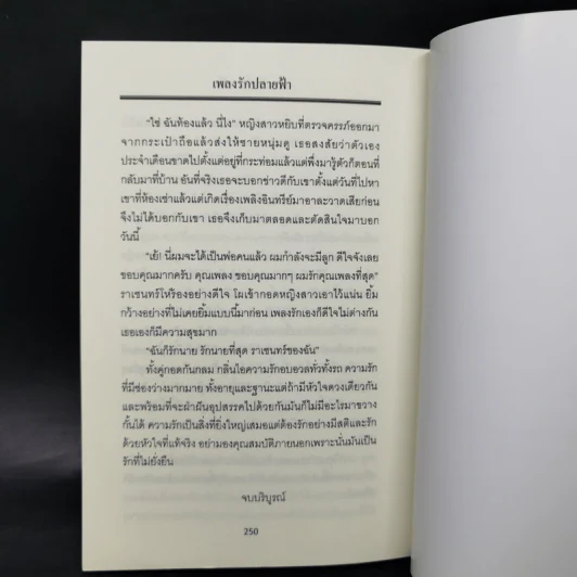 เพลงรักปลายฟ้า - รังสินี รูปที่ 10