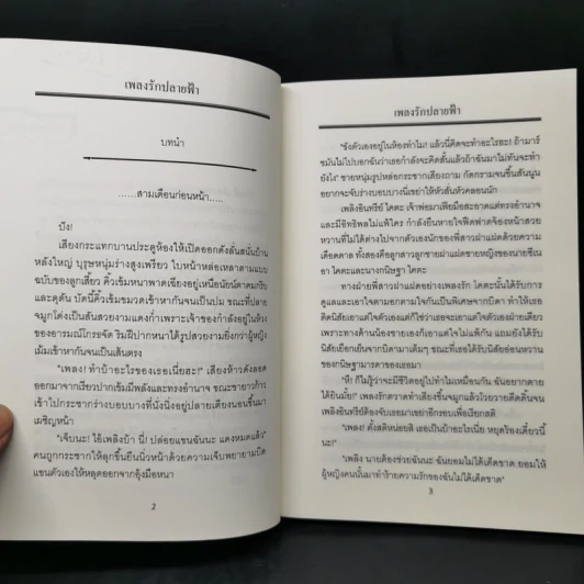 เพลงรักปลายฟ้า - รังสินี รูปที่ 8