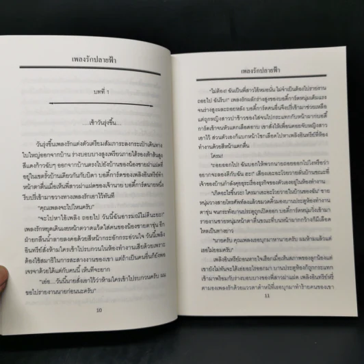 เพลงรักปลายฟ้า - รังสินี รูปที่ 9