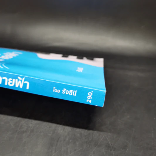 เพลงรักปลายฟ้า - รังสินี รูปที่ 11
