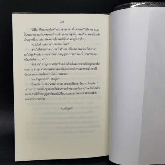 พายุรักหัวใจซาตานร้าย - รังสินี รูปที่ 11