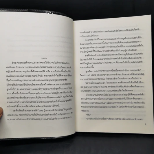 ขย้ำหัวใจซาตานร้าย - รังสินี รูปที่ 9