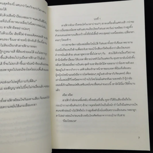 ขย้ำหัวใจซาตานร้าย - รังสินี รูปที่ 10