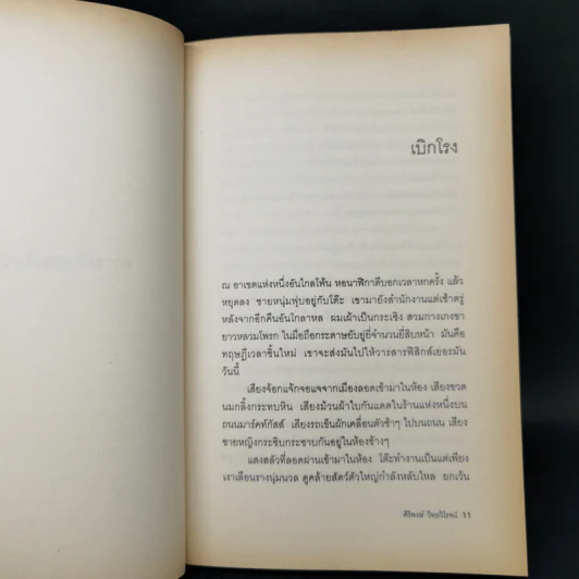 ความฝันของไอน์สไตน์ Einst Ein's Dreams รูปที่ 10