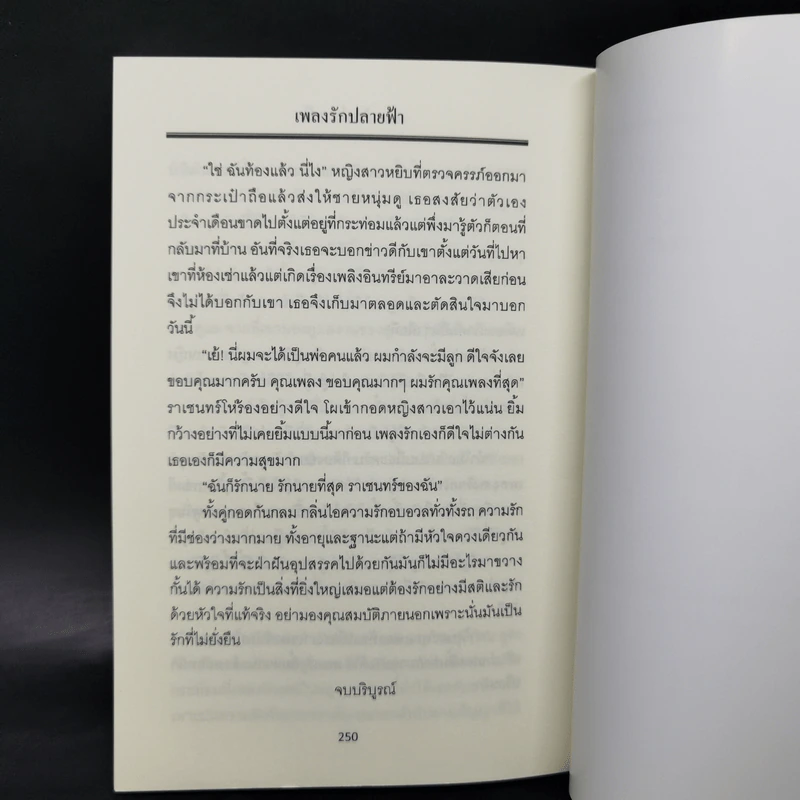 เพลงรักปลายฟ้า - รังสินี รูปที่ 10
