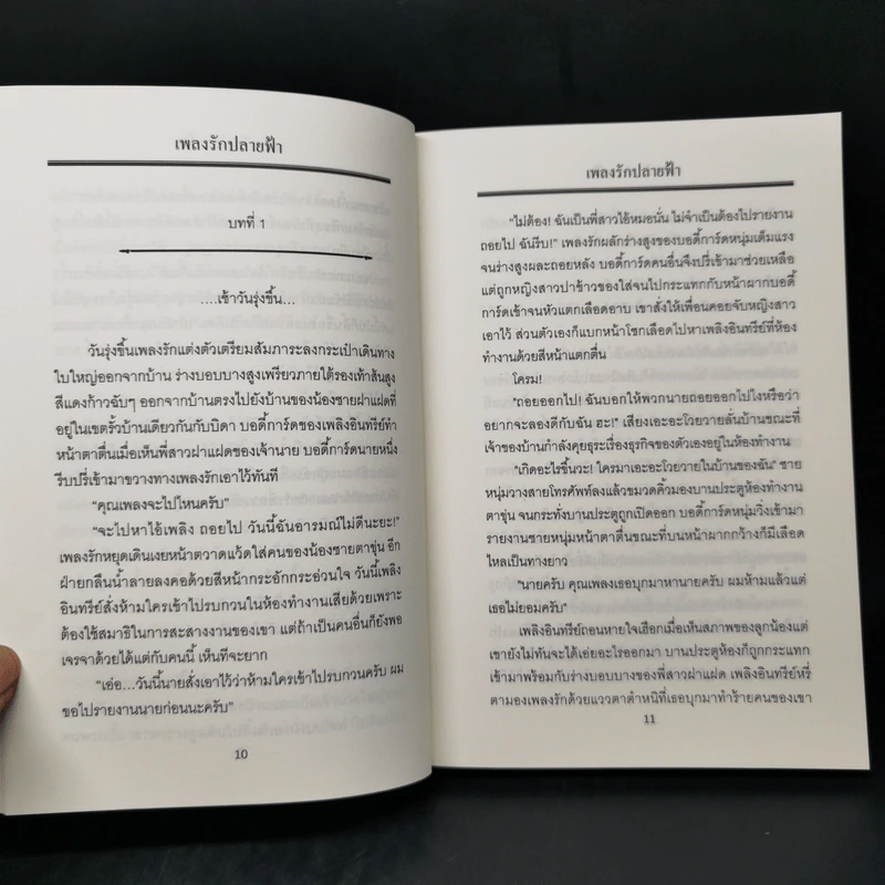เพลงรักปลายฟ้า - รังสินี รูปที่ 9