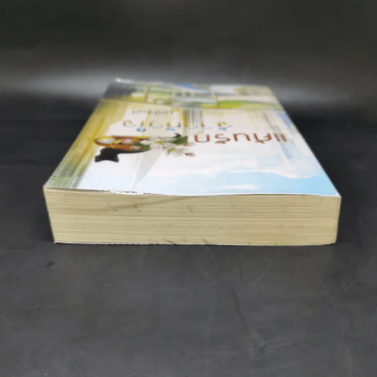 แค้นรักจ้าวหัวใจ - มณีจันท์ รูปที่ 6
