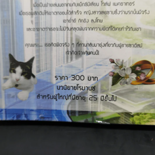 แค้นรักจ้าวหัวใจ - มณีจันท์ รูปที่ 11