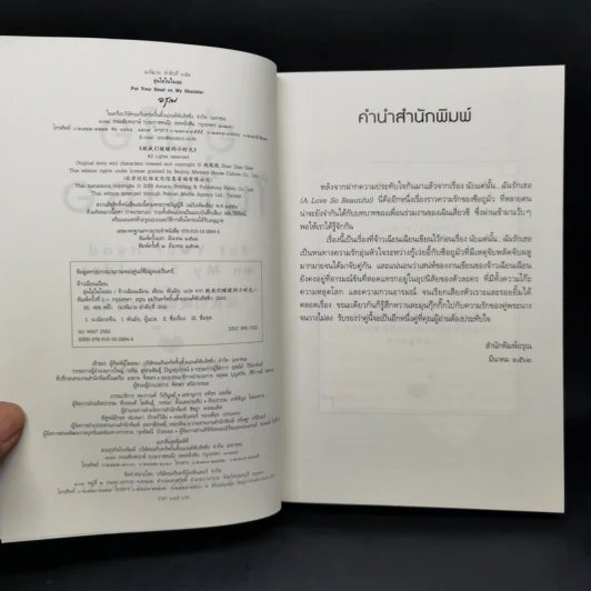 อุ่นไอในใจเธอ - จ้าวเฉียนเฉียน รูปที่ 8