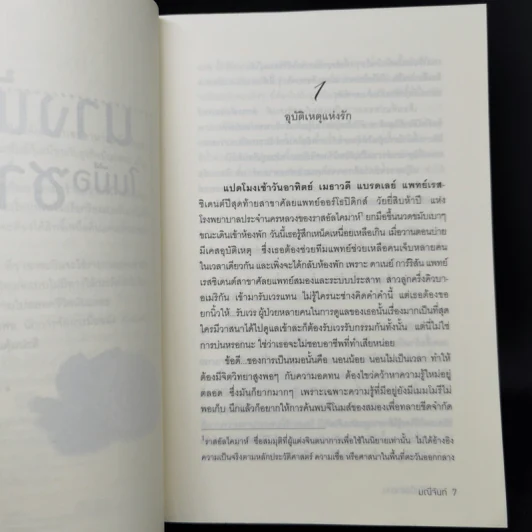 นางฟ้าในมือซาตาน - มณีจันท์ รูปที่ 9