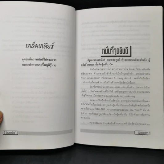 โคตรชเลียร์ - ใบไผ่เขียว รูปที่ 10