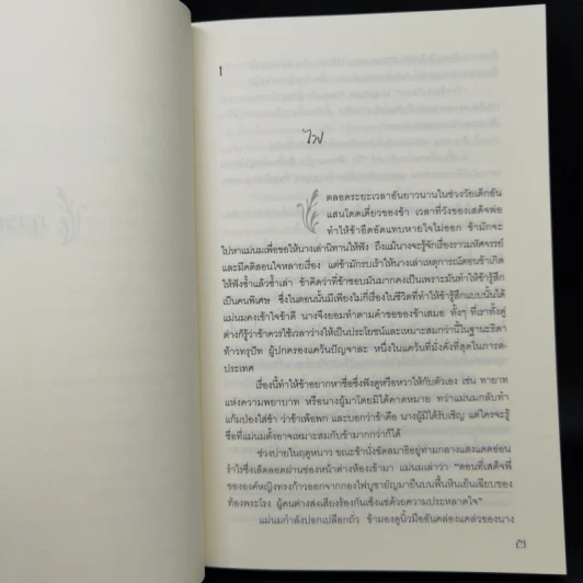 ภารตมายา - จิตรา แบเนอร์จี รูปที่ 11