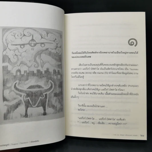 ชีวิตพลัดถิ่น - ดร.นพ.วัชรพล อเล็กซองดร์ กำเนิดศิริ รูปที่ 10