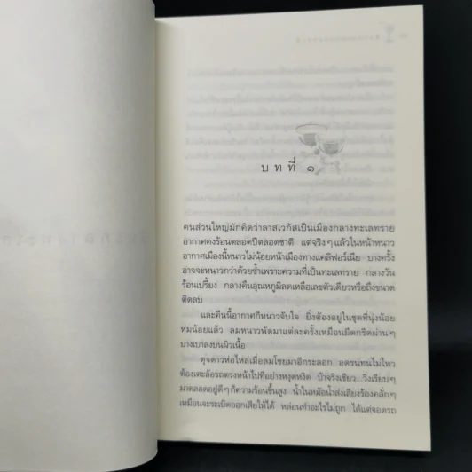 หิมะกลางทะเลทราย - กิ่งฉัตร รูปที่ 9