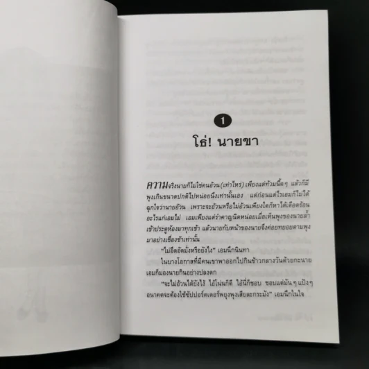 เลขานินทานาย - มนันยา รูปที่ 9