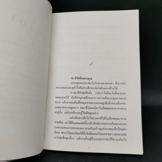 จอมใจเจ้าทะเลทราย - จินตา รูปที่ 10